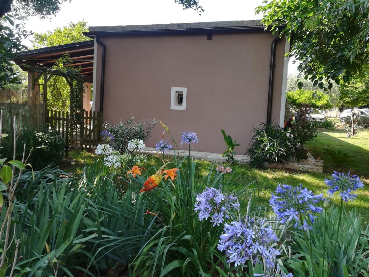 Apartman "Almond House 2" PUY Exterior foto