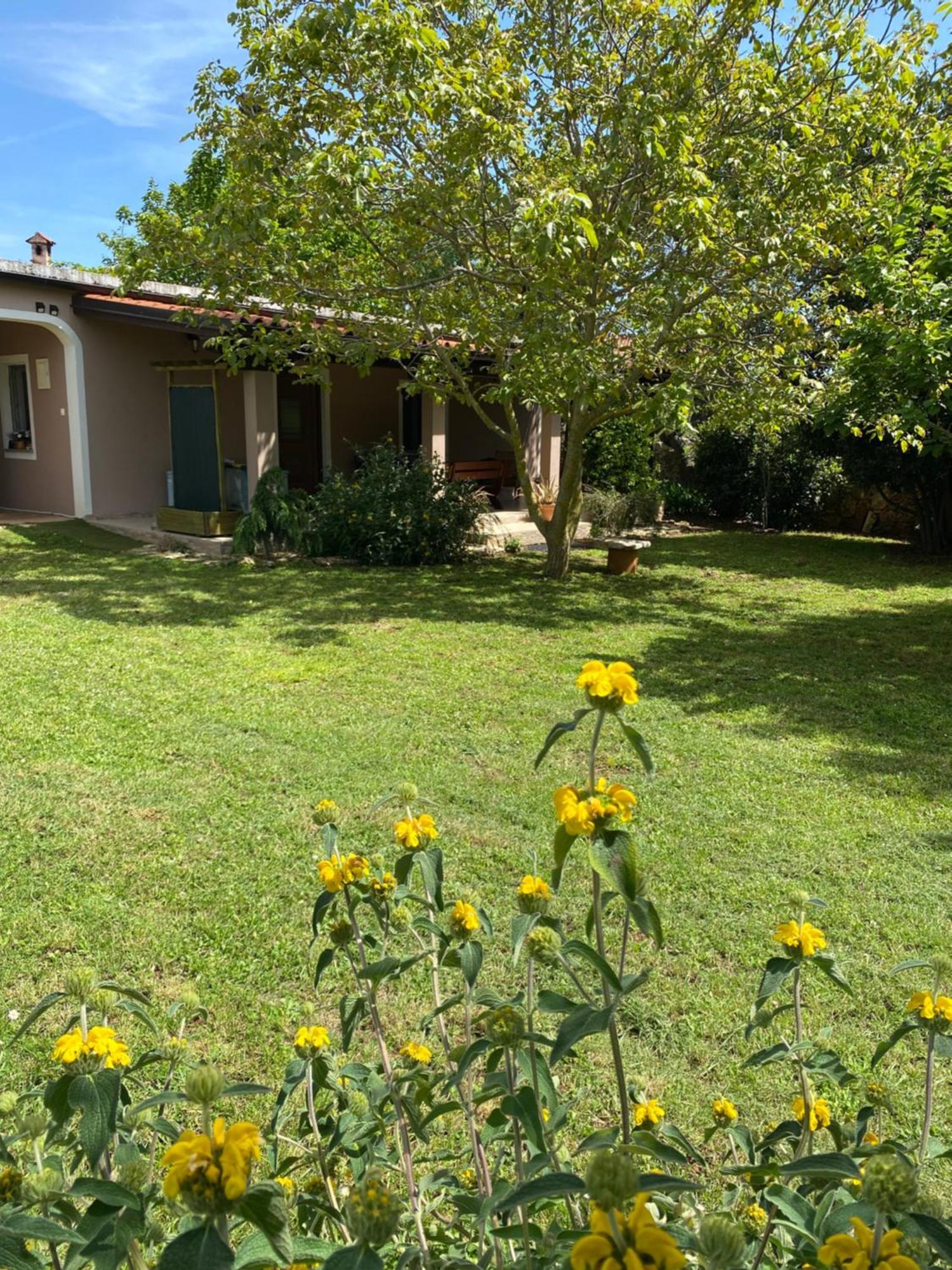 Apartman "Almond House 2" PUY Exterior foto